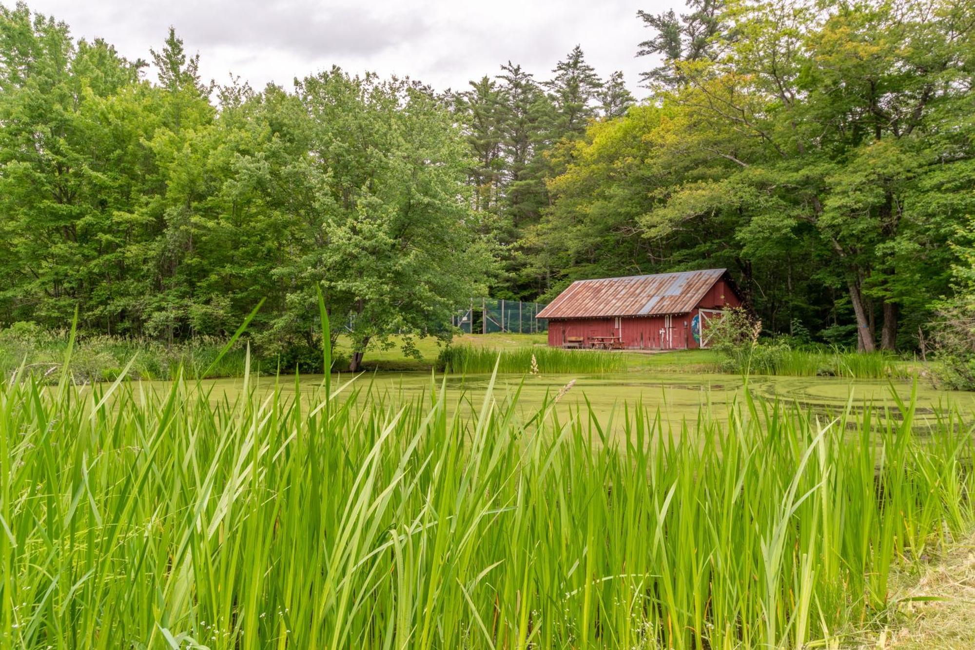 Cranmore Mountain Lodge Bed & Breakfast North Conway Buitenkant foto